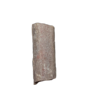 Dimetrodon Sail Spine Section, Permian