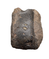 Hypacrosaurus Neck Vertebra