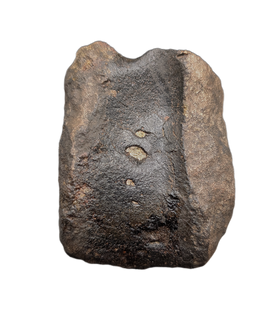 Hypacrosaurus Neck Vertebra