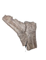 Camarasaurus Rib Hinge