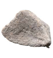 Maiasaura Calcaneus (ankle bone), Two Medicine Formation
