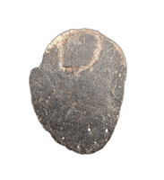 Hypacrosaurus Claw (Ungal) Two Medicine Formation