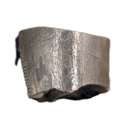 Allosaurus Tooth,  Morrison Formation