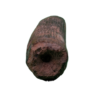 Ichthyovenator Tooth (Rare Spinosaurid), Early Cretaceous