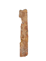 Pterosaur Ulna, Kem Kem
