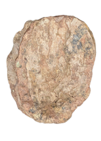 Sauropod (Long Neck) Tail Vertebra, El Mers III Formation