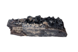Frog Jaw Section, Hell Creek