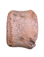 Stretosaurus (Pliosaur) cf. macromerus Vertebrae, Late Jurassic