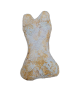 Spinosaurus Toe