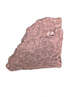 Sauropod Rib Section, Morrison Formation