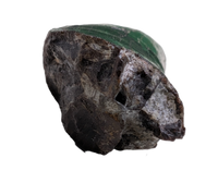Tyrannosaur Tooth, Two Medicine Formation