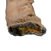 Pterosaur Ulna, Kem Kem