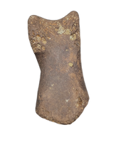 Dakotaraptor/Acheroraptor Toe