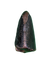 Tyrannosaur Tooth, Judith River Formation
