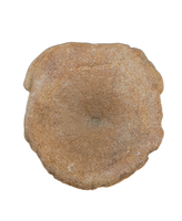 Brachypterigus (Ichthyosaur) Vertebra Jurassic Period, England.