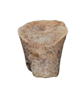 Ouranosaurus Tooth
