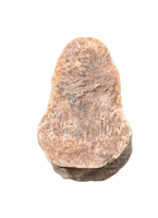 Deinonychus Claw Section, Cloverly Formation