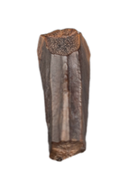 Rooted Hadrosauridae Tooth, Aguja Formation, Texas