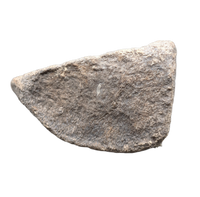 Maiasaura Calcaneus (ankle bone), Two Medicine Formation