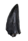 Tyrannosaur Tooth, Two Medicine Formation