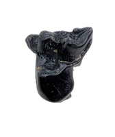 Mammal Tooth(Molar), Hell Creek Formation