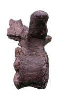 Camptosaurus Vertebra, Morrison Formation