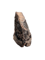 Phytosaur Dentary Tooth, Chinle Formation