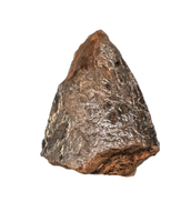 Tyrannosaurus Rex Tooth