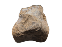 Mosasaur (Tylosaurus?) Vertebra, Cretaceous of Texas