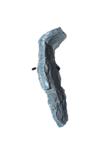 Camarasaurus Ilium Section