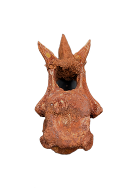 Unusual (Dinosaur?) Vertebra, Kem Kem