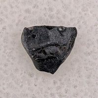 Hungarosaurus, Csehbánya Formation