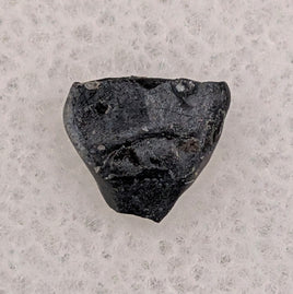 Hungarosaurus, Csehbánya Formation