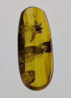 Amber with a Spider from Burma. Middle Cretaceous, 99 Million Years Old