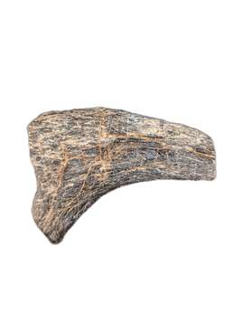 Suchomimus? Hand Claw, Elrhaz Formation