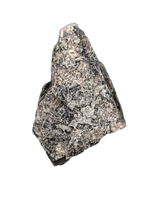 Stegosaurus Plate Section, Morrison Formation