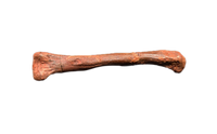 Theropod Metacarpal, Kem Kem