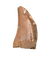 Nanotyrannus Tooth