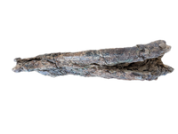 Triceratops Jaw