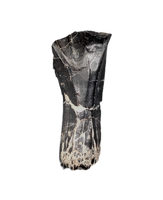 Rooted Iguanodont Tooth, England