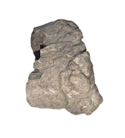 Camarasaurus Vertebra