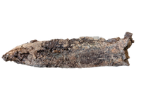 Triceratops Jaw