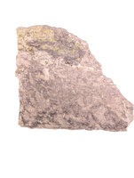 Sauropod Rib Section, Morrison Formation