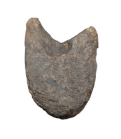 Hypacrosaurus Neck Vertebra