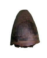 Deinosuchus (Crocodile) Tooth from Texas