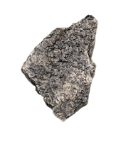 Stegosaurus Plate Section, Morrison Formation