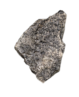 Stegosaurus Plate Section, Morrison Formation