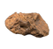 Tyrannosaur Vertebrae, Judith River Formation