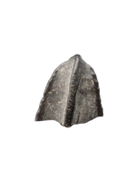 Hadrosaur Tooth, Judith River Formation