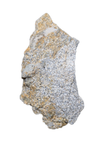Partial Tyrannosaur Tooth, Two Medicine Formation.